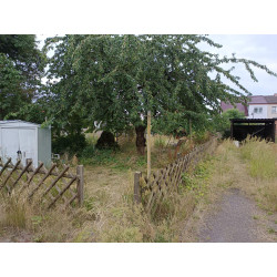 Loftwohnung in 06895 Zahna mit 120m² Wohnfläche